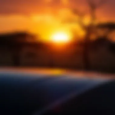 African Savannah Sunset Stunning sunset over African savannah with gaming elements