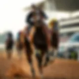 The Majesty of Racehorses A majestic racehorse galloping on the track