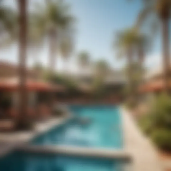 Relaxing pool area surrounded by palm trees at the Tropicana.